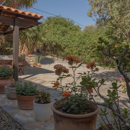 Private Pet Friendly Villa Agios Nikolaos  Ngoại thất bức ảnh