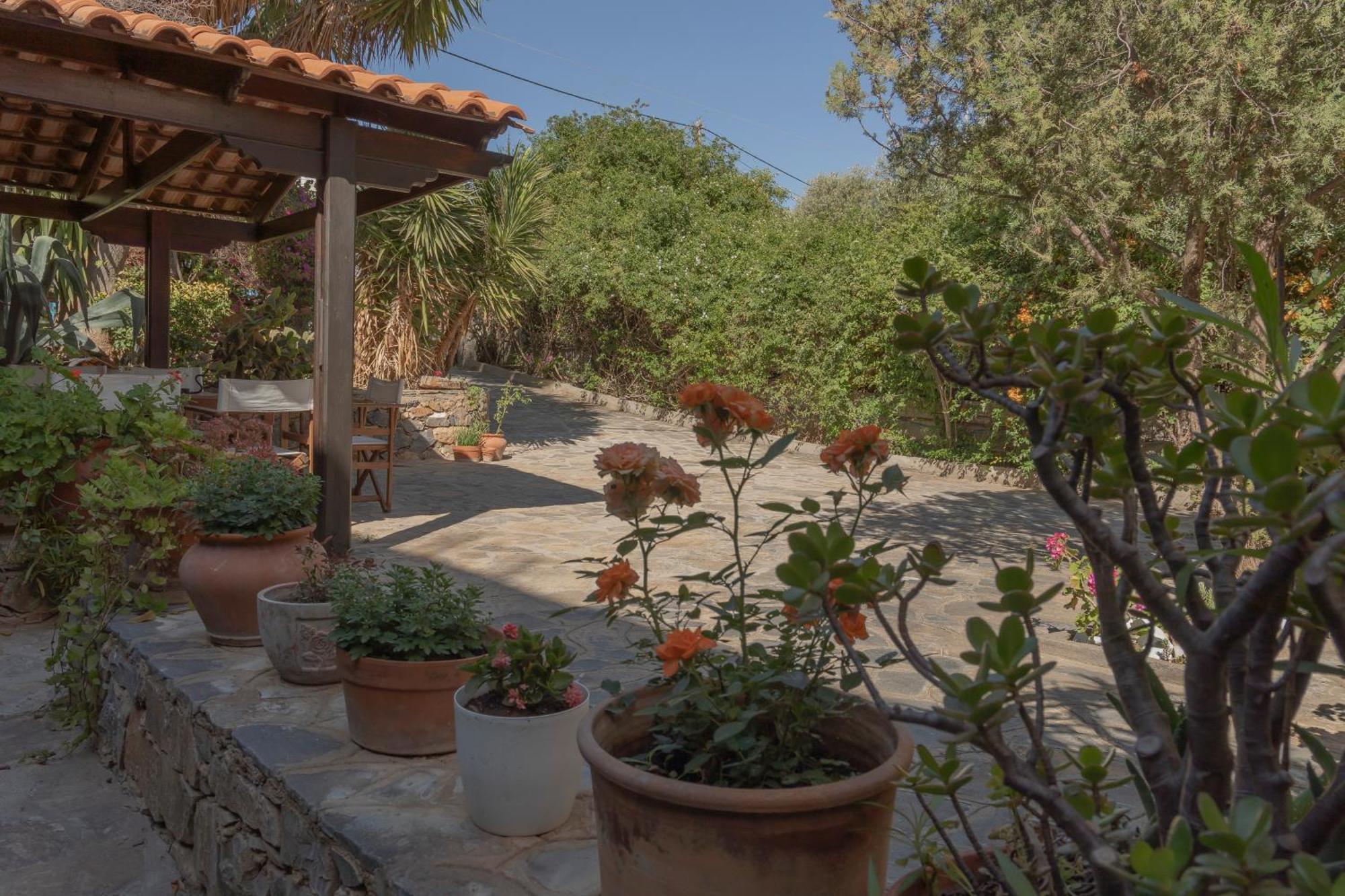 Private Pet Friendly Villa Agios Nikolaos  Ngoại thất bức ảnh