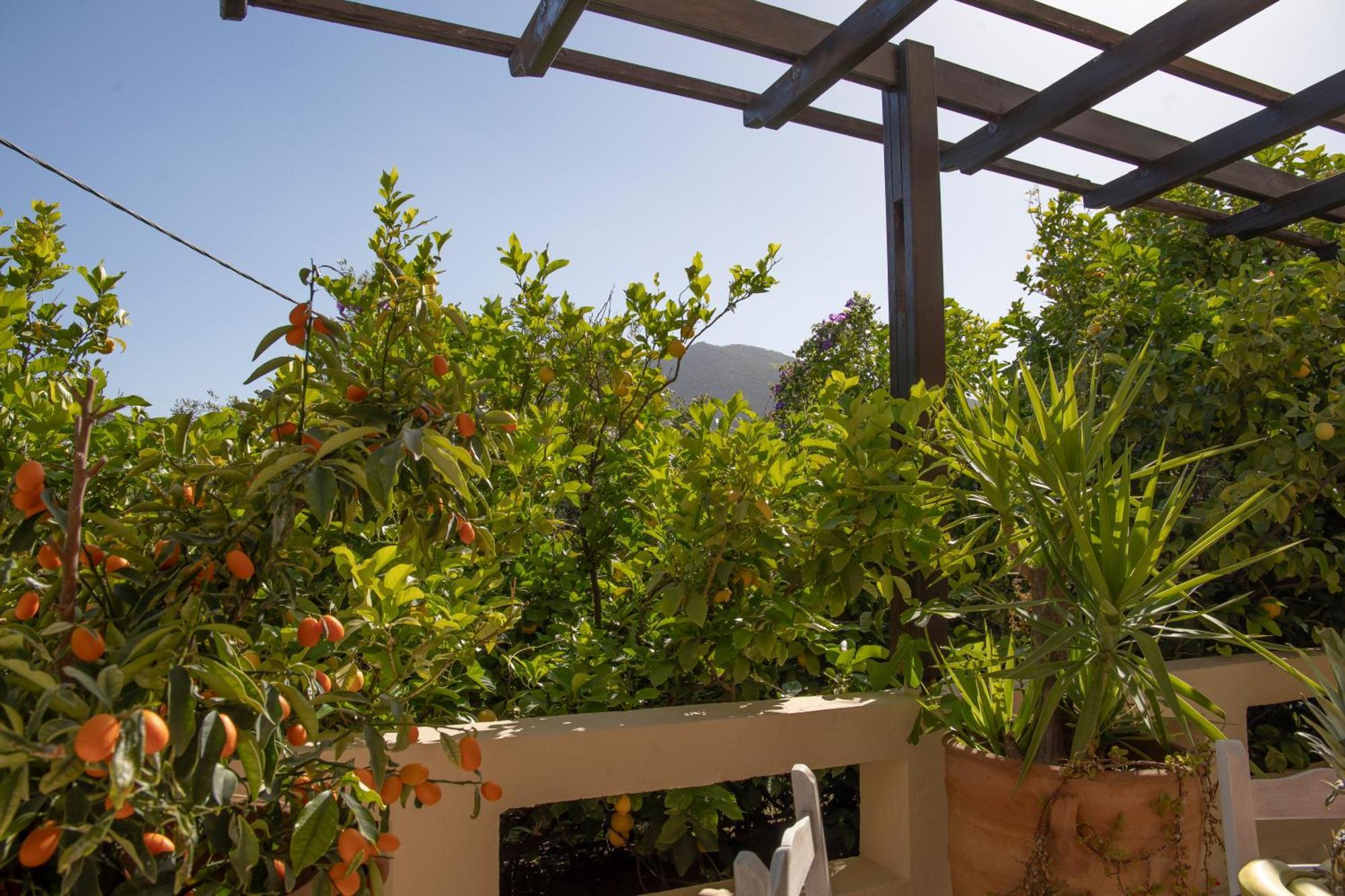 Private Pet Friendly Villa Agios Nikolaos  Ngoại thất bức ảnh
